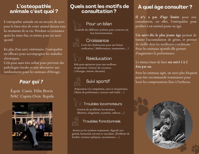 plaquette de présentation ostéopathe animalier