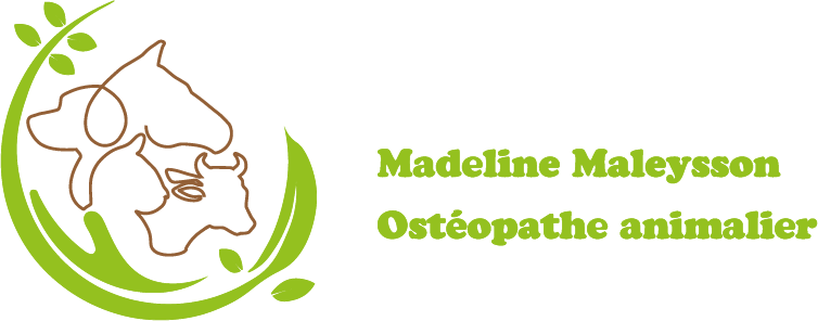 Logo Madeline Maleysson ostéopathe animalier basé à saint Antoine