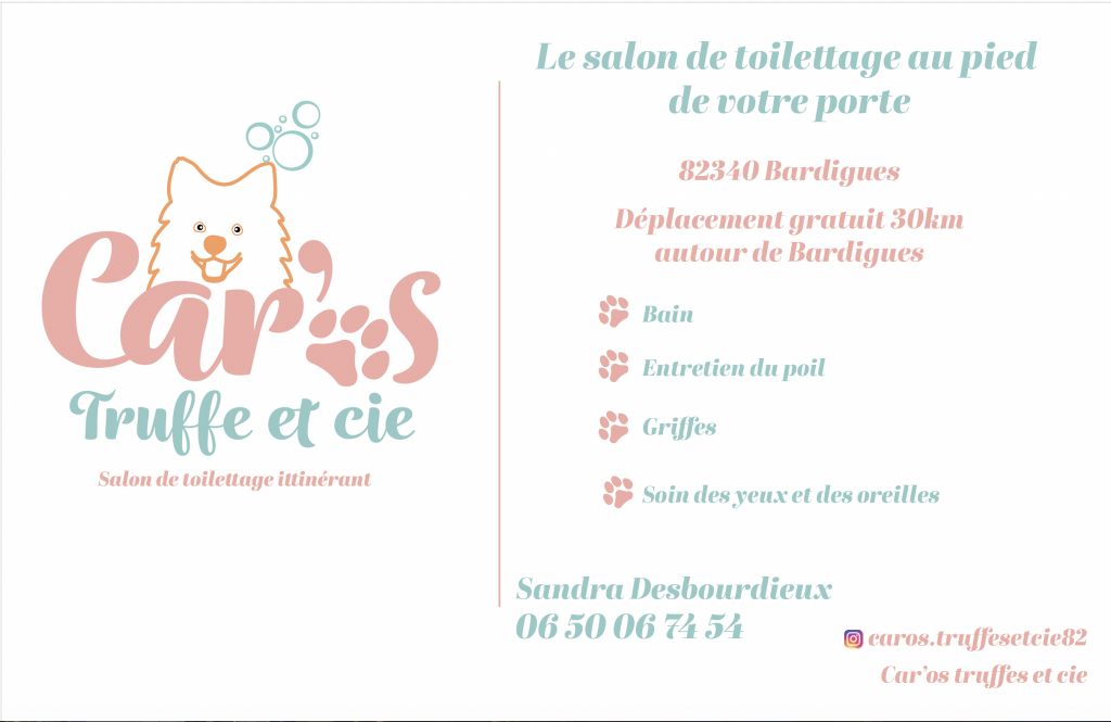 Carte de visite salon de toilettage itinérant à Bardigues dans le Tarn-et-Garonne crée par l'agence Com'postelle