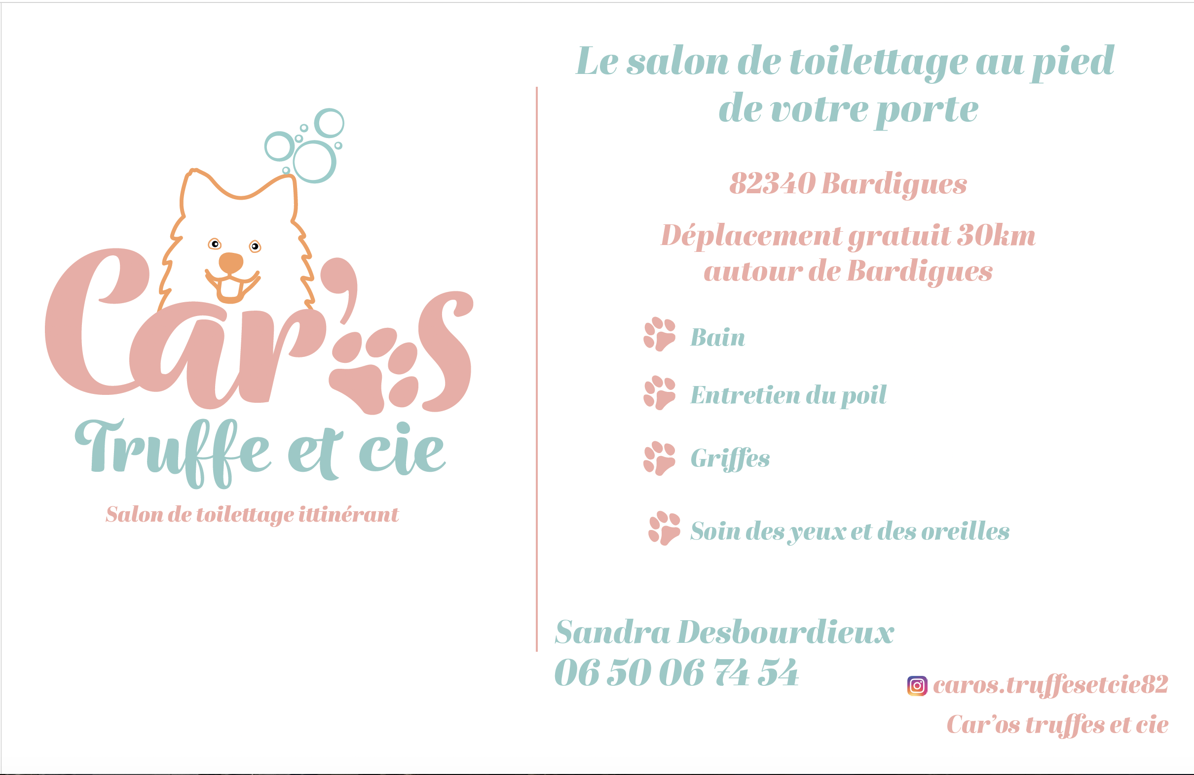 Carte de visite salon de toilettage itinérant à Bardigues dans le Tarn-et-Garonne crée par l'agence Com'postelle