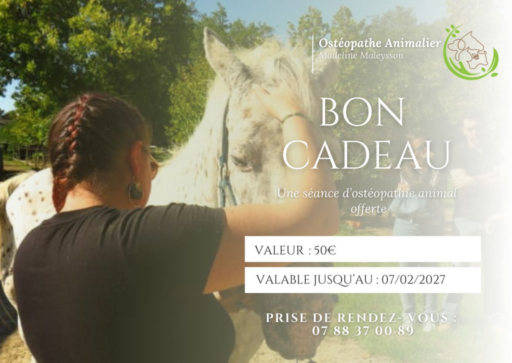 Carte cadeau pour ostéopathe animalier créer par l'agence com'postelle