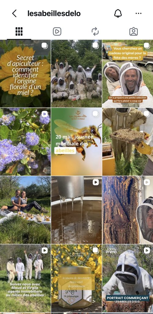 Feed instagram créer par com'postelle agence de communication pour les abeilles d'Elo apiculteur dans le Tarn-et-Garonne