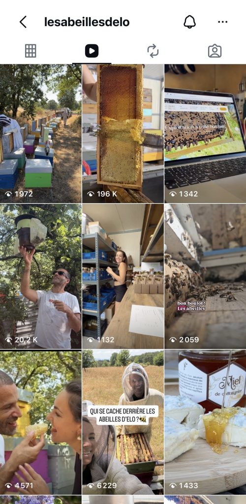 feed instagram créer par com'postelle pour les abeilles d'Elo apiculteur dans le Tarn-et-Garonne
