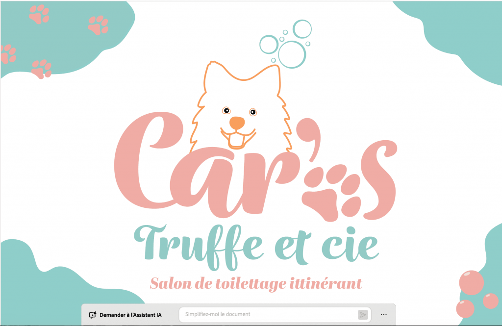 Projet d'identité visuelle pour un salon de toilettage pour chien itinérant à Bardigues en Tarn-et-Garonne. Proposé par agence com'postelle