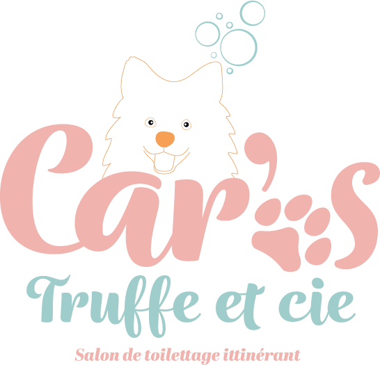 Logo pour salon de toilettage itinérant créer par l'agence Com'postelle