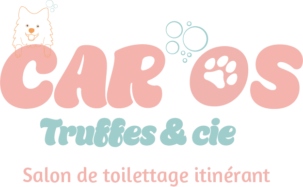 Logo salon de toilettage itinérant à Bardigues en Tarn et Garonne crée par l'agence Com'postelle