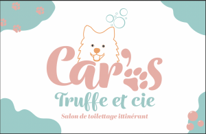 Comment créer une identité visuelle impactante ?