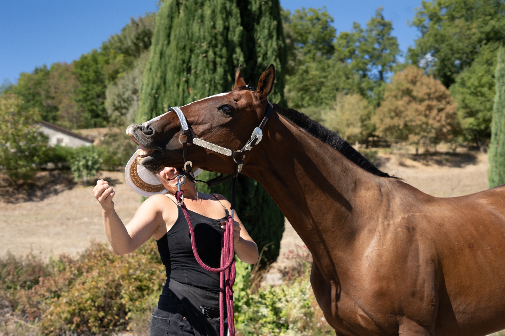 Photo portrait cheval de spectacle pour le comice des 2 rives réalisé par l'agence com'postelle