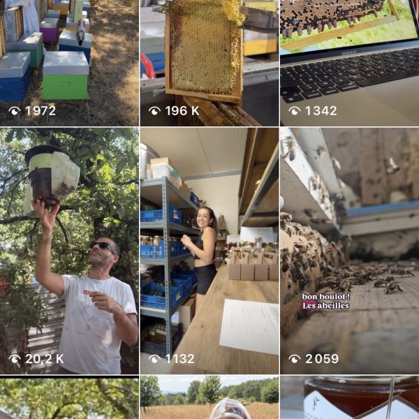 feed instagram créer par com'postelle pour les abeilles d'Elo apiculteur dans le Tarn-et-Garonne