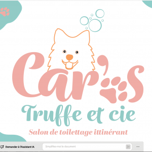 Projet d'identité visuelle pour un salon de toilettage pour chien itinérant à Bardigues en Tarn-et-Garonne. Proposé par agence com'postelle