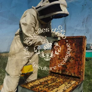 Image les abeilles d'Elo apicultrice sur la Lomagne. Cliente de l'agence com'postelle en gestion des réseaux sociaux